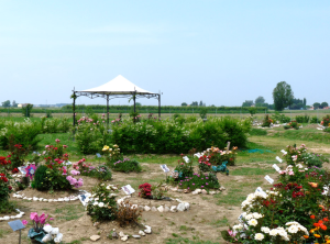 parco-beato-emilia
