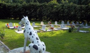 cimitero-animali-piemonte