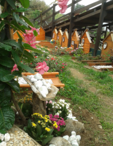 giardino-di-artemide-calabria
